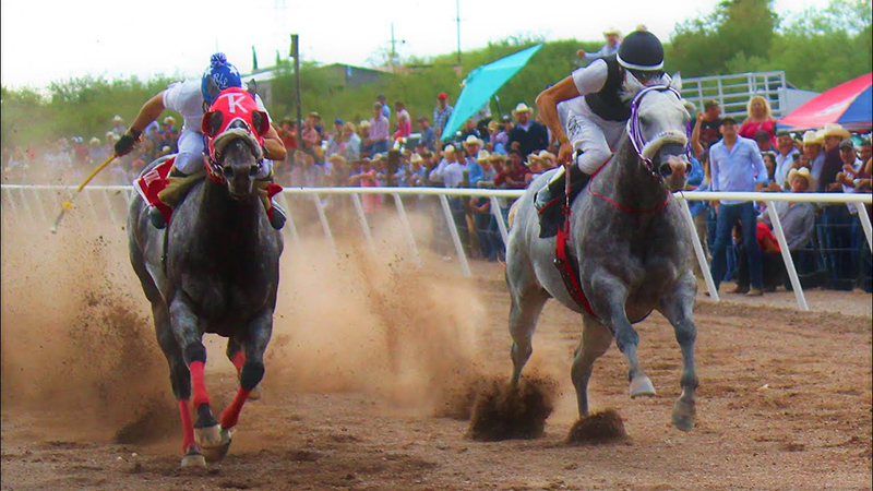 LAS CARRERAS DE CABALLOS SON UN DEPORTE ECUESTRE